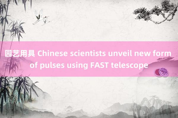 园艺用具 Chinese scientists unveil new form of pulses using FAST telescope
